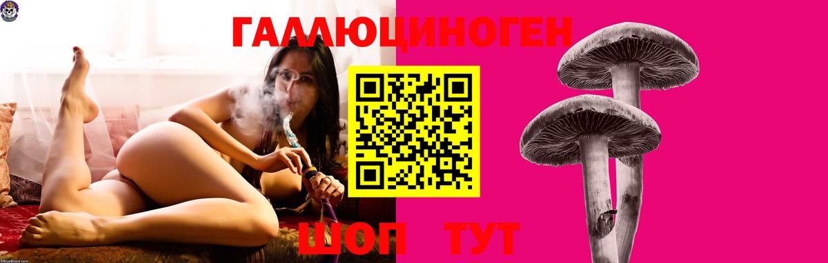 Галлюциногенные грибы Cubensis  купить закладку  Белореченск  Вход с VPN 